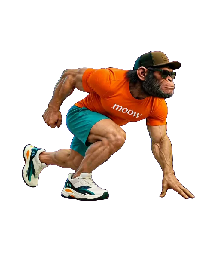Ace Motion, Moow’s chimpanzee coach, ready to move